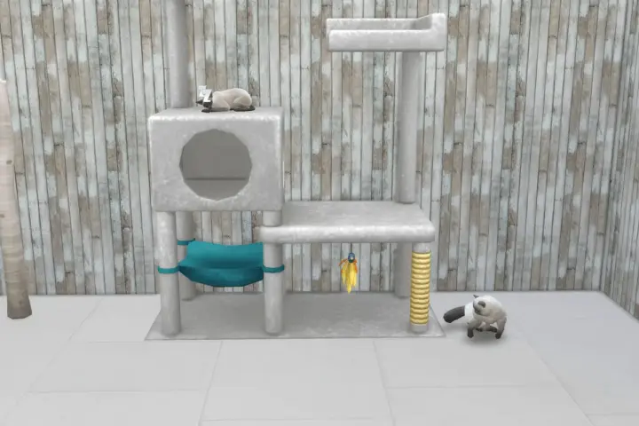 Pet Shelter & Pet Breeding – Paws & Hooves