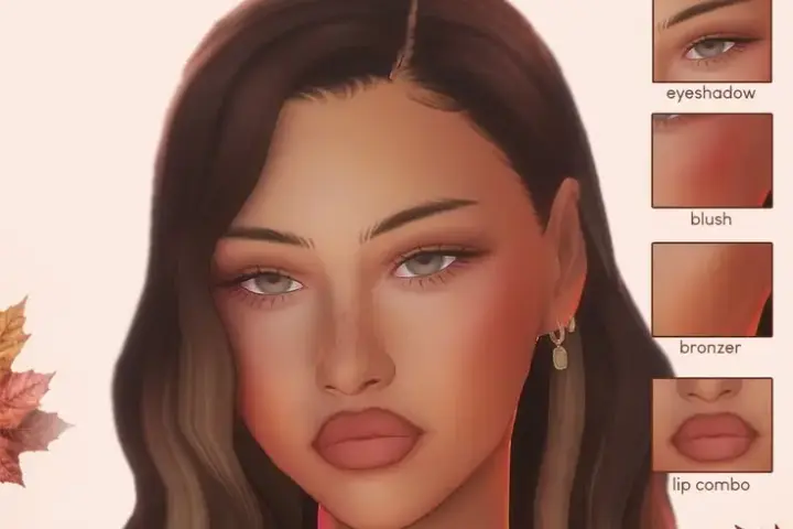 toasty makeup collection