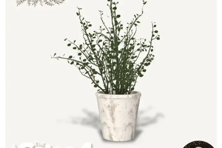 Sims4Luxury - Farmhouse - Boxwood