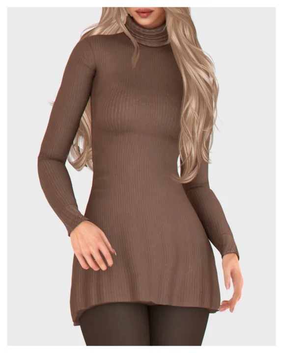 Turtleneck Sweater Dress