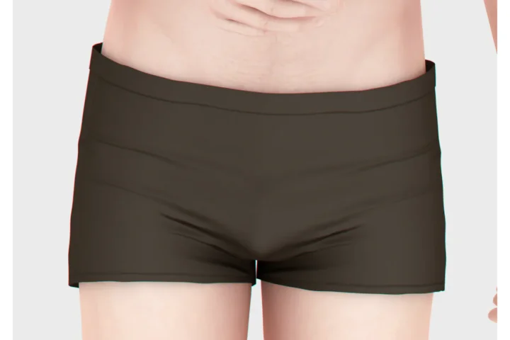 Remy Swim Briefs