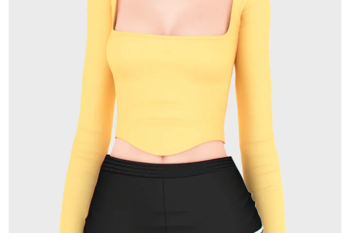 Nikki Long Sleeves Top