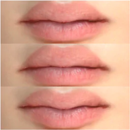 Mouth Presets Pack N2