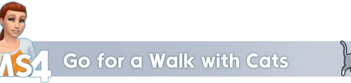 Go for a Walk with Cats