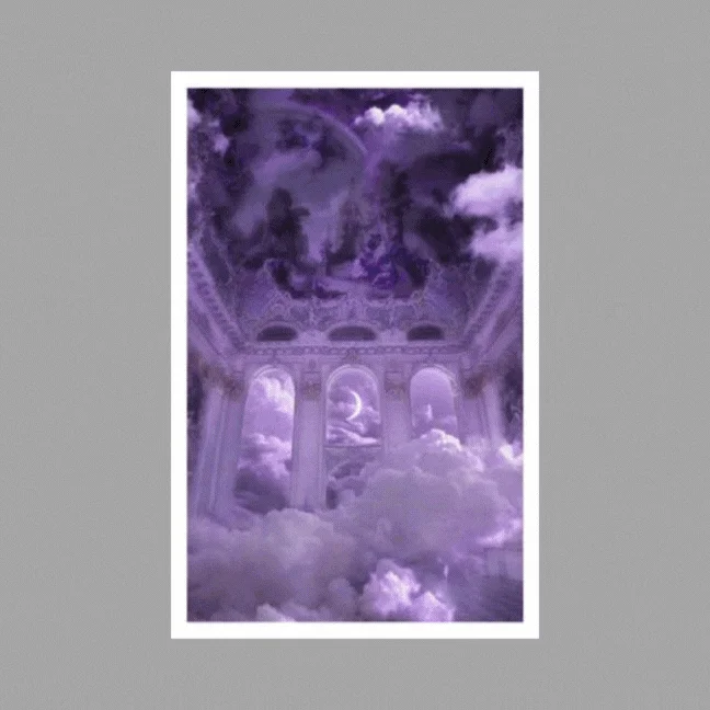Lilac Pictures