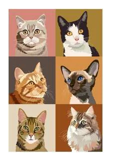 Cats and dogs paintings