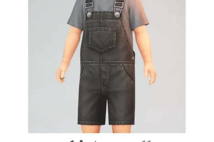 T-Shirt Overall Outfit
