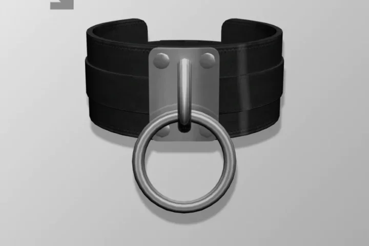 LEXEL a.k.a. Mr.Alex - Buffalo ( male choker )