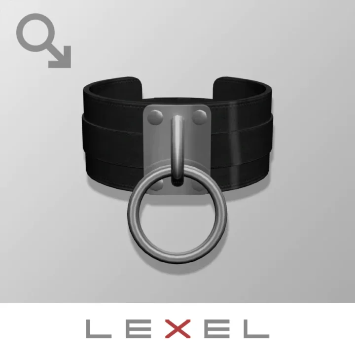 LEXEL a.k.a. Mr.Alex - Buffalo ( male choker )