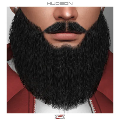 Hudson - beard (FIXED)