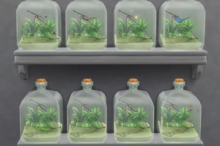 Glass Jar Insect Terrariums