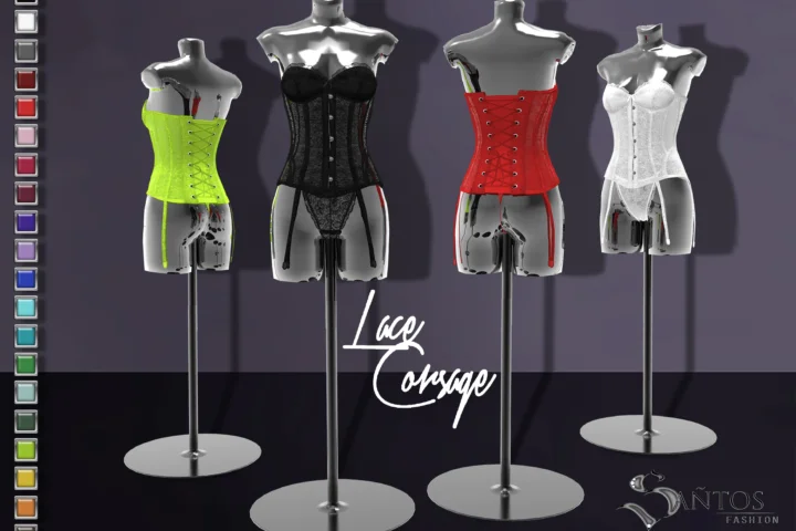 Lace Corsage Outfit SxF