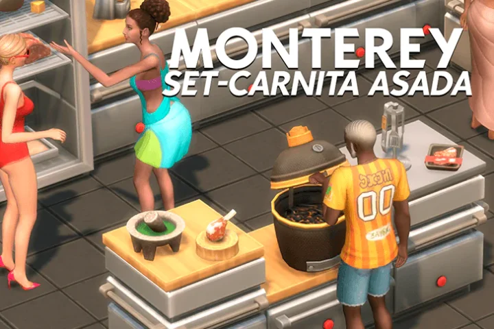 MONTERREY SET | CARNITA ASADA
