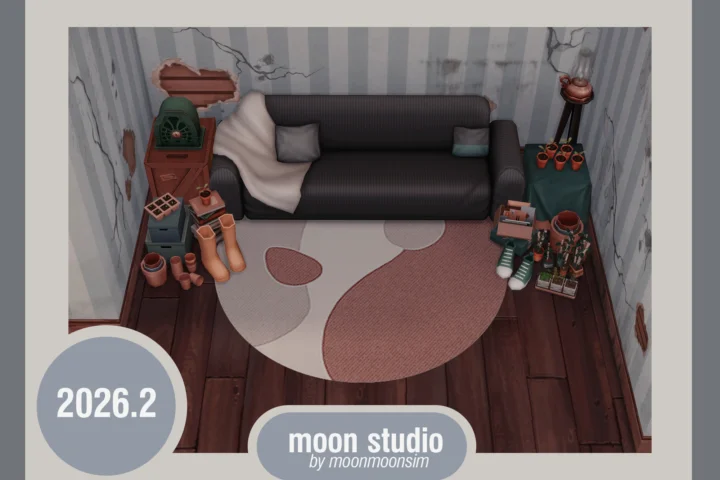 moonmoonsim round rug 2026.3