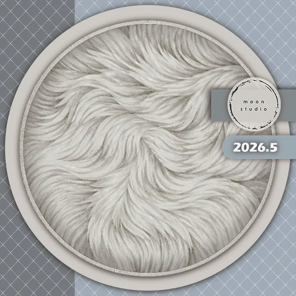 moonmoonsim moon art 2026.5