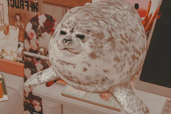 FAT SEAL l Plush & Kids Toy
