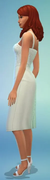 Laced Pencil Dress Set