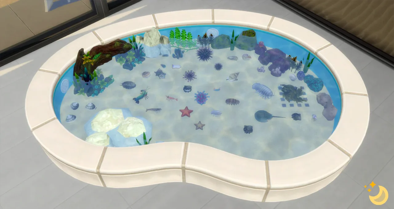 Aquarium Set 5