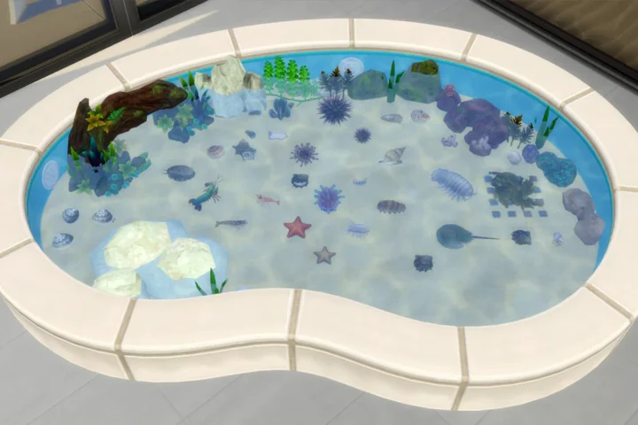 Aquarium Set 5