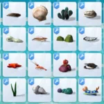 Aquarium Set 5