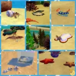 Aquarium Set 5