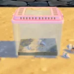 Aquarium Set 5
