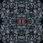 floor tiles bara