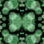floor tiles bacterial