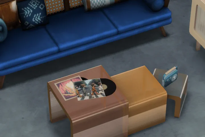 A Couple of Vinyl Records