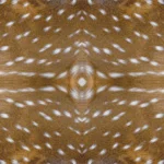 floor tiles bulu