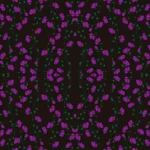 floor tiles botania