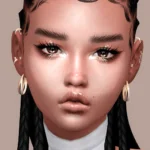 Eyebrow Set Maxis Match