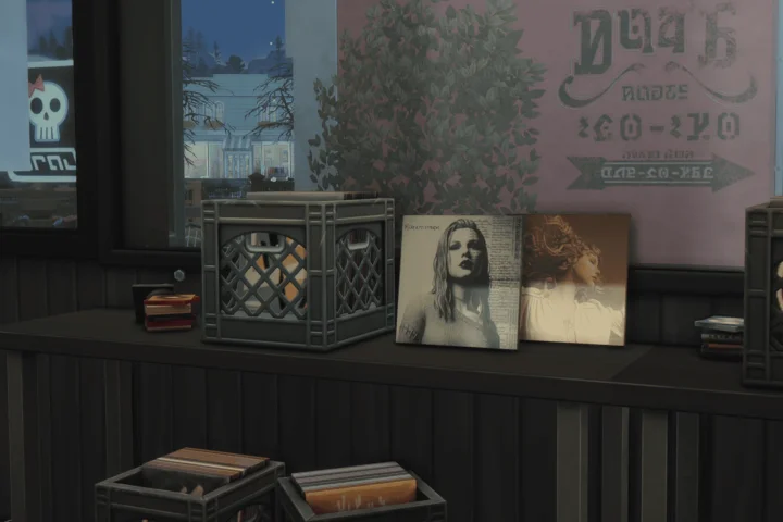 Vinyl (Swiftie's Version)