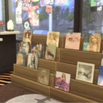Vinyl (Swiftie's Version)