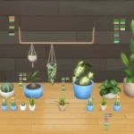 Beachy Room Set 1