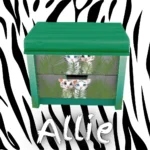 Tiger Cub Retreat kiddies bedroom set