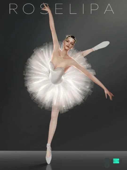 BALLET POSE POSES