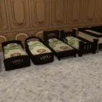 Little Lion Lodge kiddies bedroom set