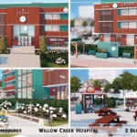 Willow Creek Hospital