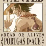 Portgas D Ace ~ 001