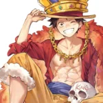 Monkey D Luffy ~ 001