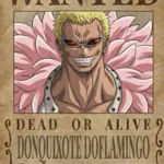 Donquixote Doflamingo ~ 001