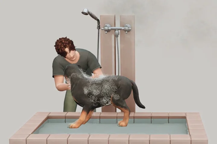 Pixel Vibes - Maxis Match Pet Wash