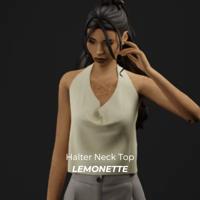 Halter Neck Top