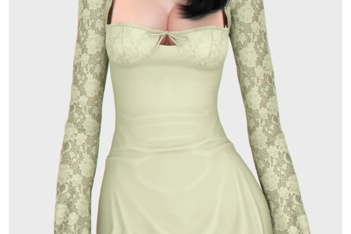 Amy Lace Dress