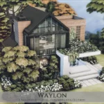 Waylon - No CC
