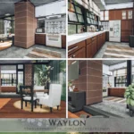Waylon - No CC