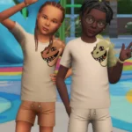 Playground Collection