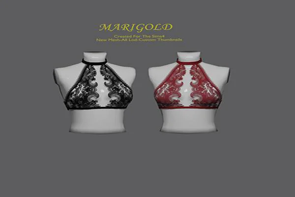 MARIGOLD TS4- Nesya Top
