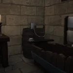 The Medieval baths of Hendford